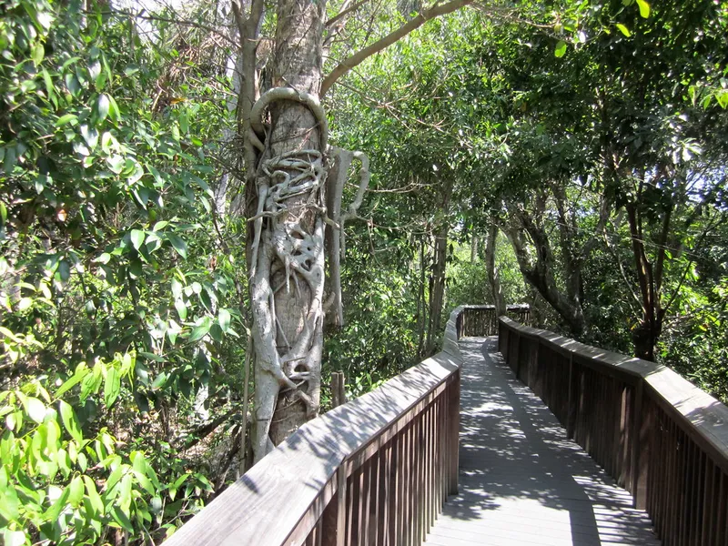 Gumbo Limbo Nature Center