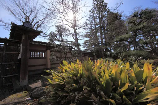 Gunma Museum of Natural History