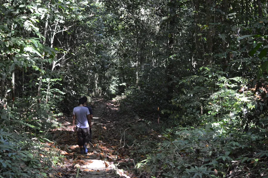 Gunung Gading National Park