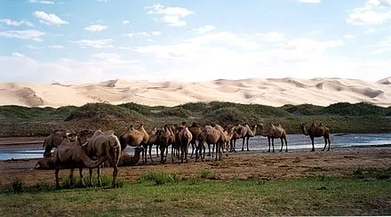 Gurvansaikhan Mountains