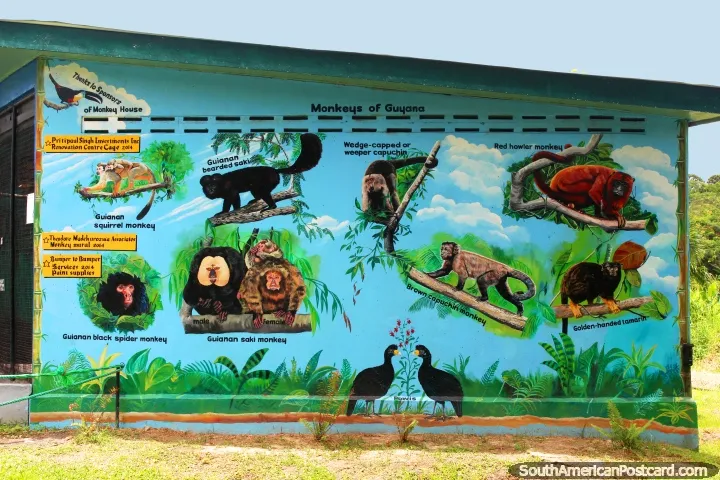 Guyana Zoo