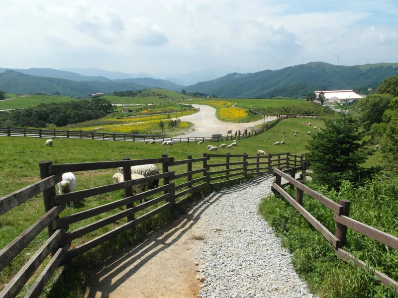 Gwangyang National Forest