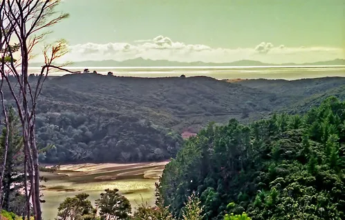 Gwavas Forest