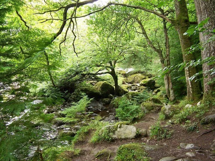 Gwydir Castle