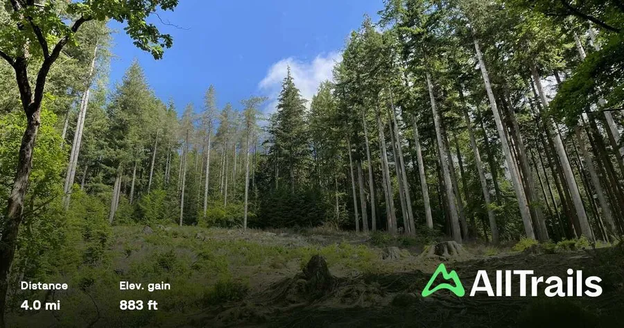 Gwydir Forest
