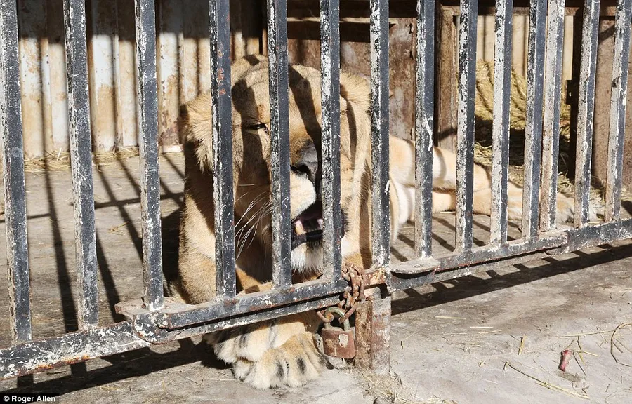 Gyumri Zoo