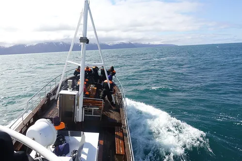 Húsavík Whale Watching