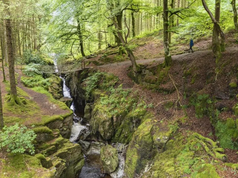 Hafod Estate