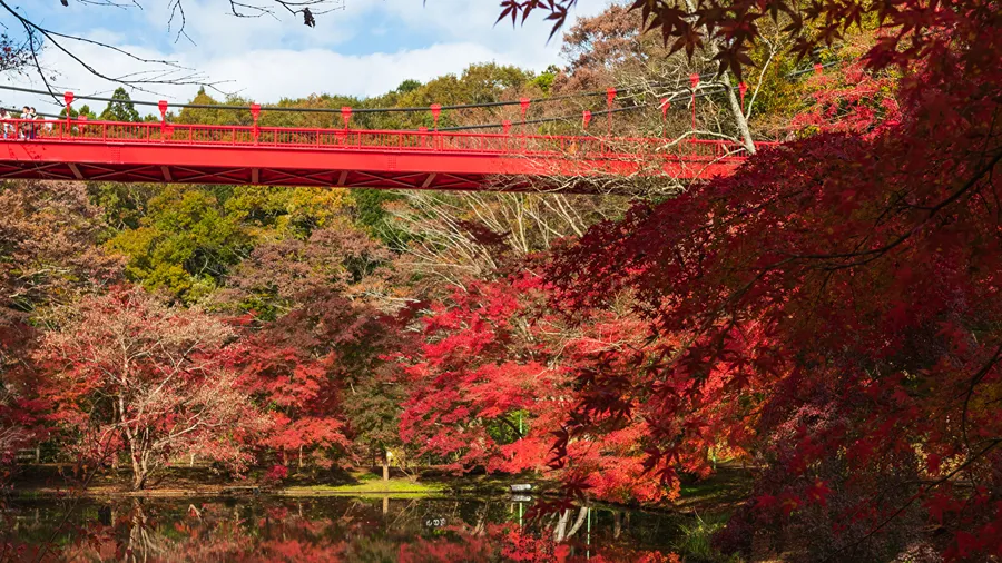 Haguroyama Park