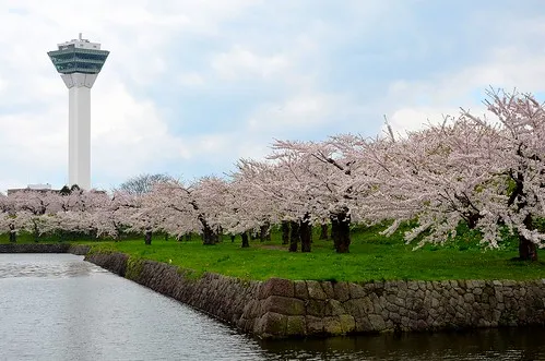 Hakodate Tropical Botanical Garden
