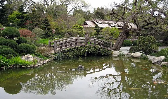 Hakone Botanical Garden of Wetlands