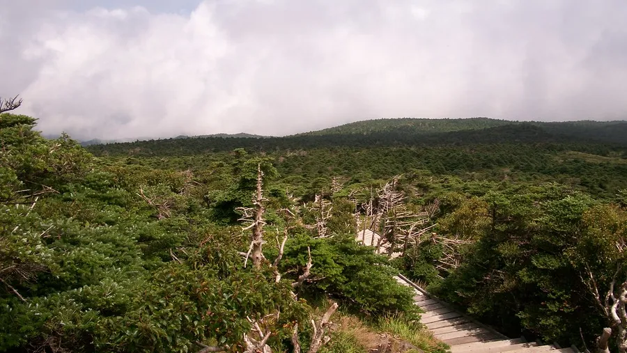 Halla Arboretum