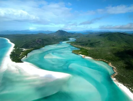 Hamilton Island Wildlife