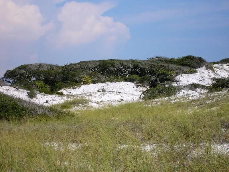 Hammocks Beach State Park