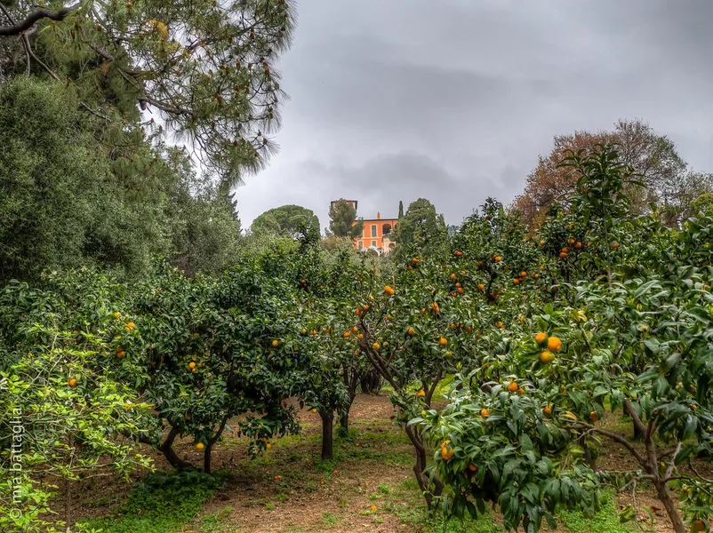 Hanbury Botanic Gardens
