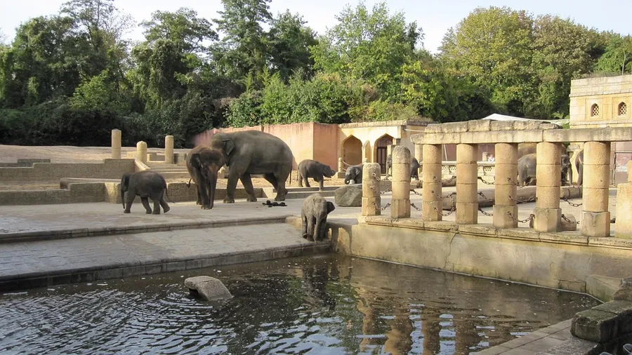 Hanover Zoo