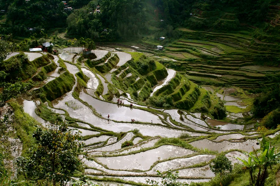 Hapao Rice Terraces