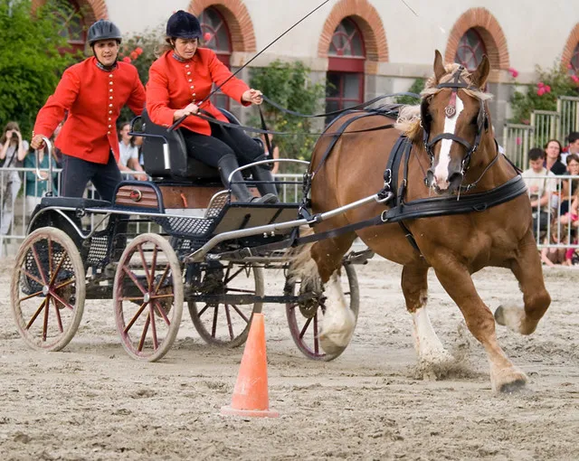 Haras National de Lamballe