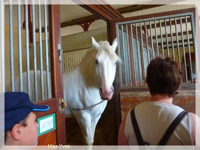 Haras National de Saint-Lô
