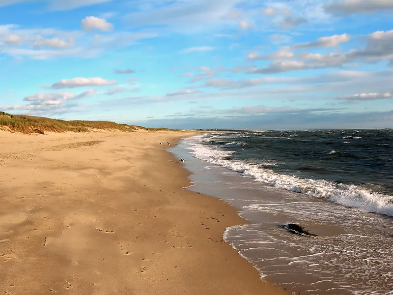 Hardings Beach