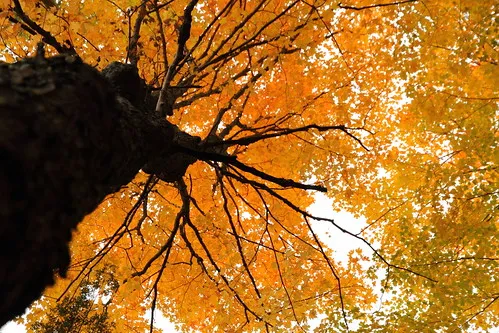 Hardy Lake Provincial Park