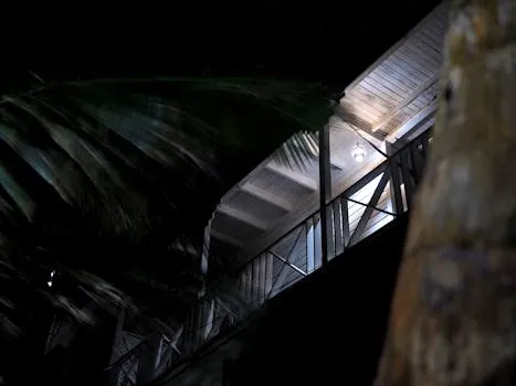 Harrison's Cave