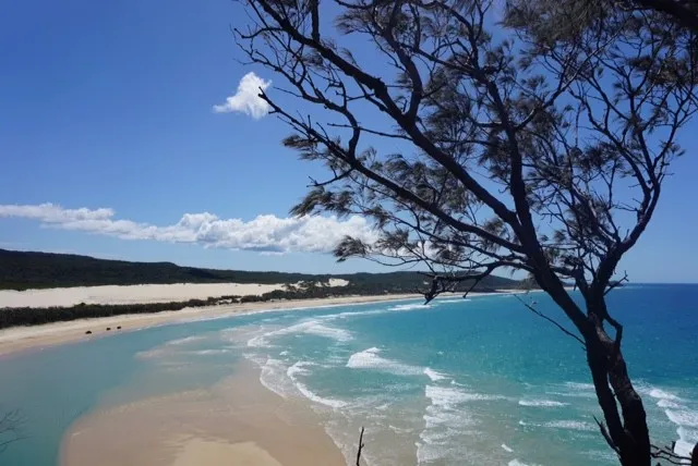 Hart's Cut Bay