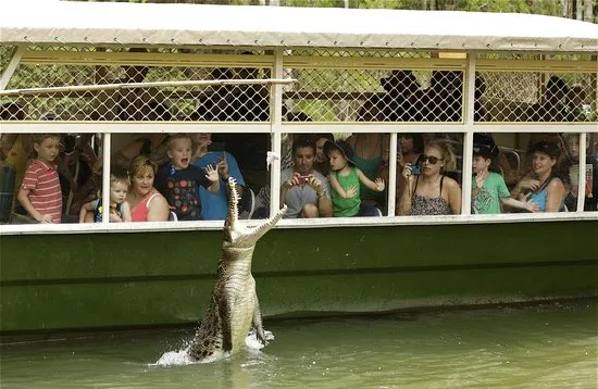 Hartley's Crocodile Adventures