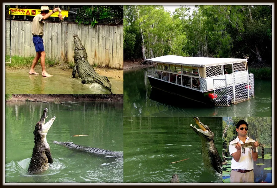 Hartley's Crocodile Adventures