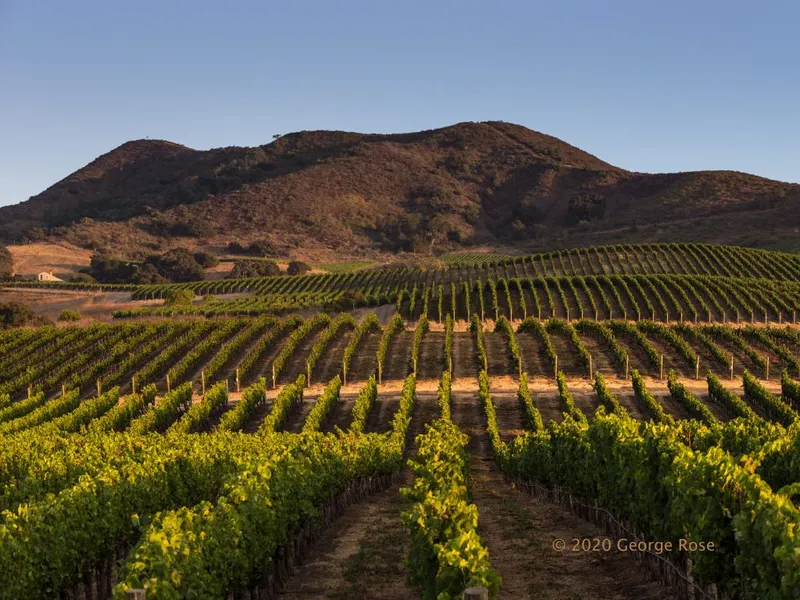 Hartmann Ranch Vineyards