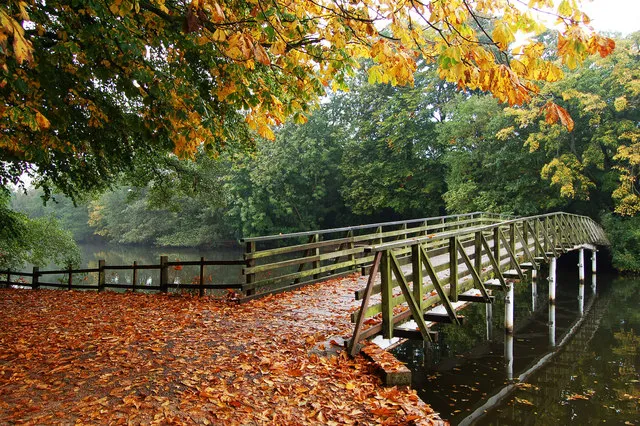 Hartsholme Country Park