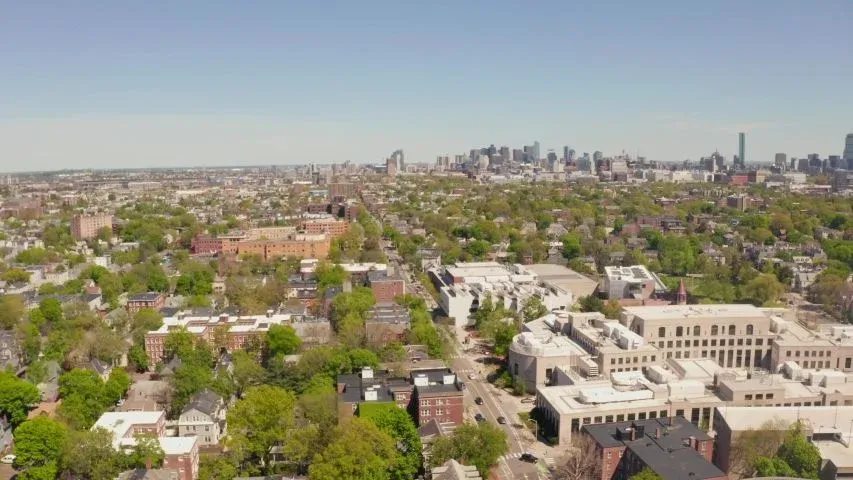 Harvard University