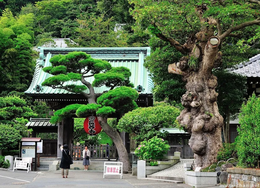 Hase-dera Temple