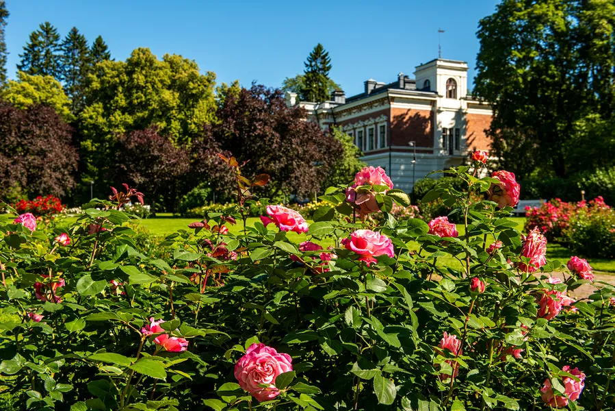 Hatanpää Arboretum