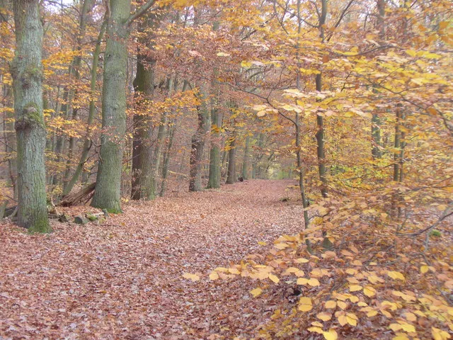 Havel Cycle Path