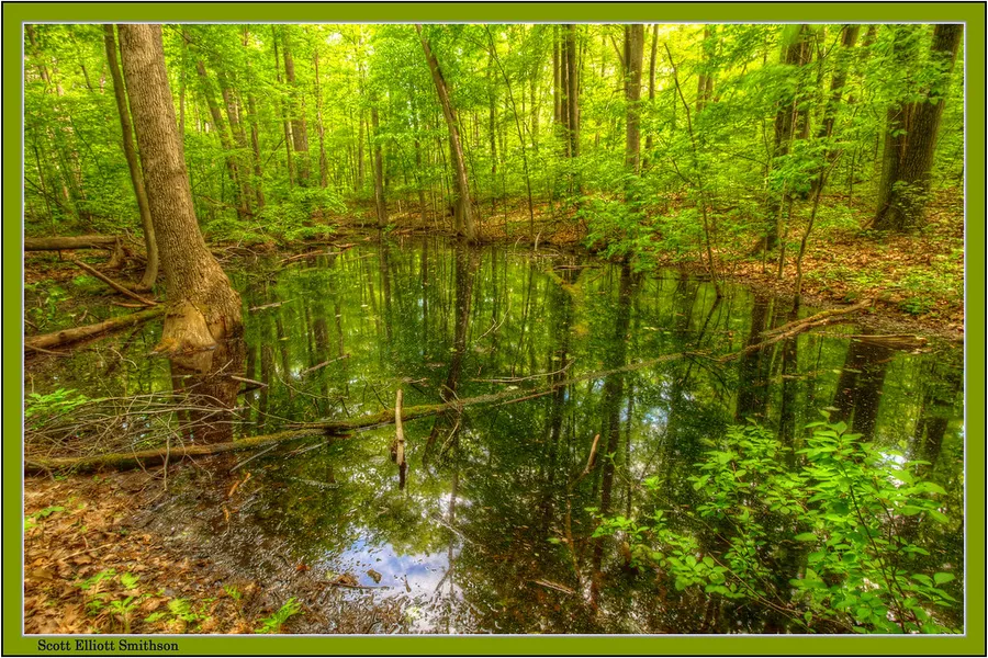 Haven Hill Natural Area