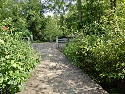 Haw River State Park