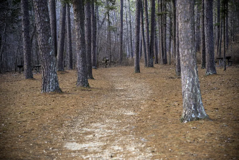 Hawn State Park