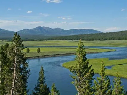 Hayden Valley
