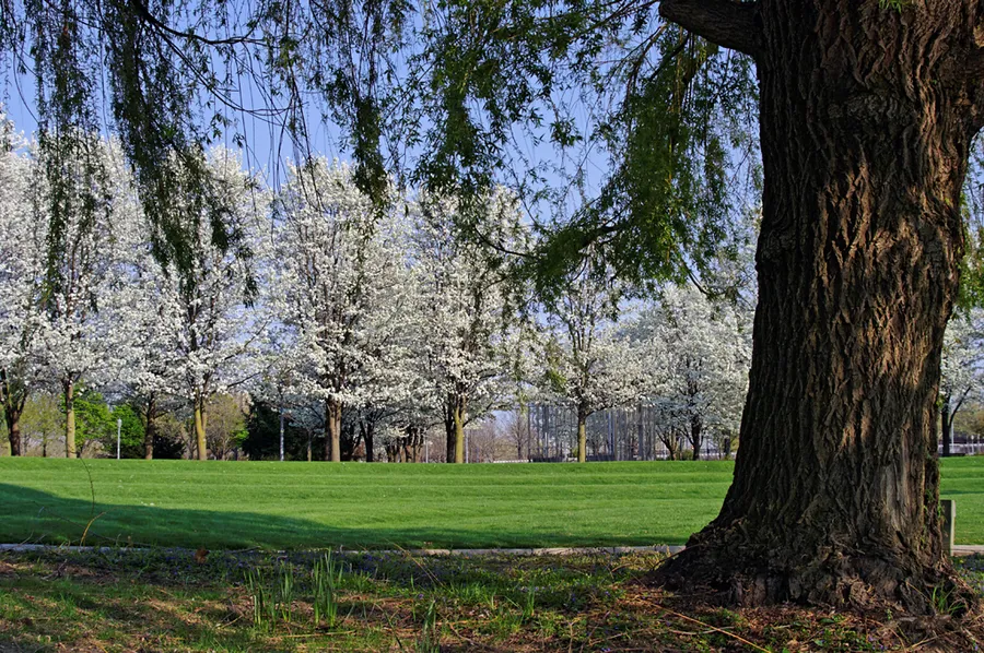 Headwaters Park