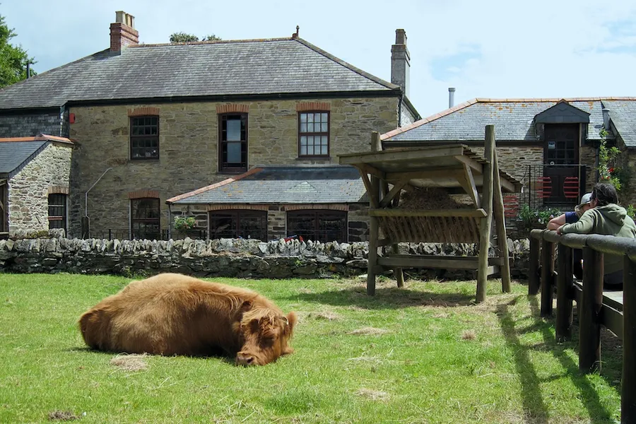 Healey's Cornish Cyder Farm