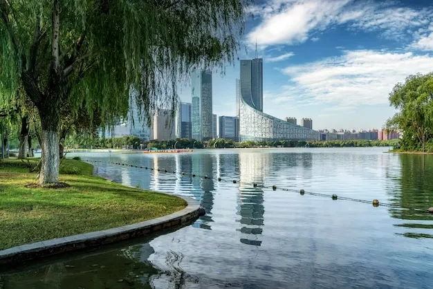 Hefei Swan Lake