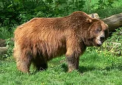 Heimat-Tierpark Bielefeld