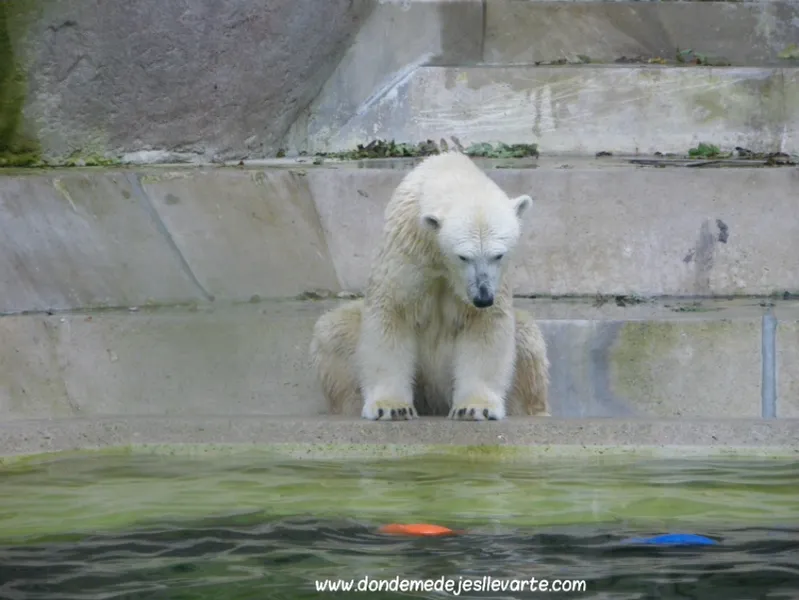 Hellabrunn Zoo