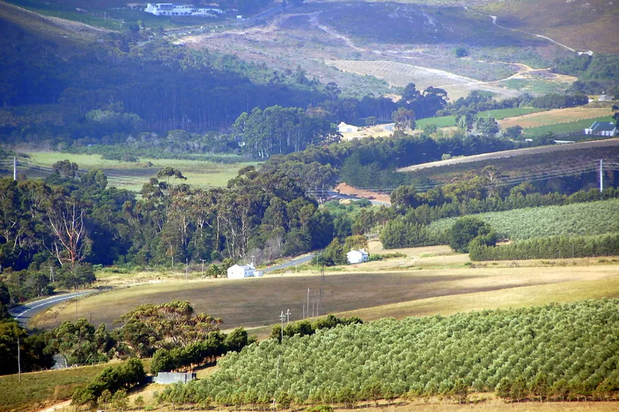 Hemel-en-Aarde Valley