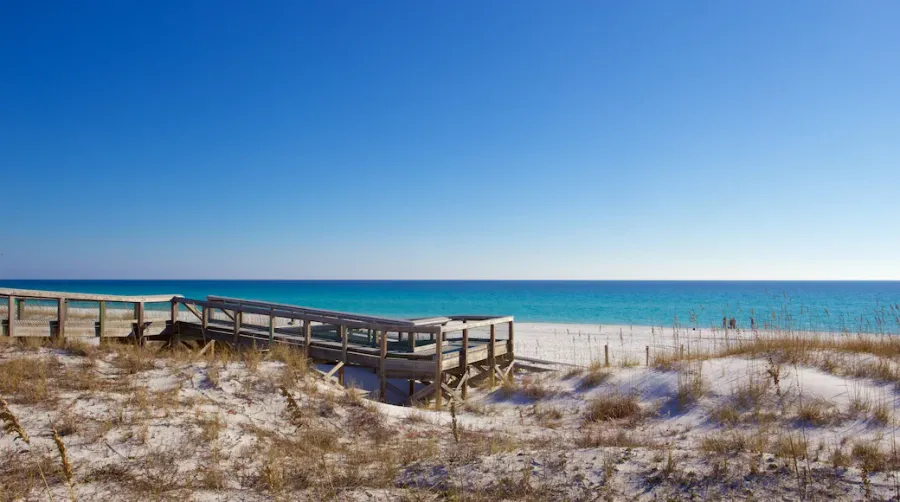 Henderson Beach State Park