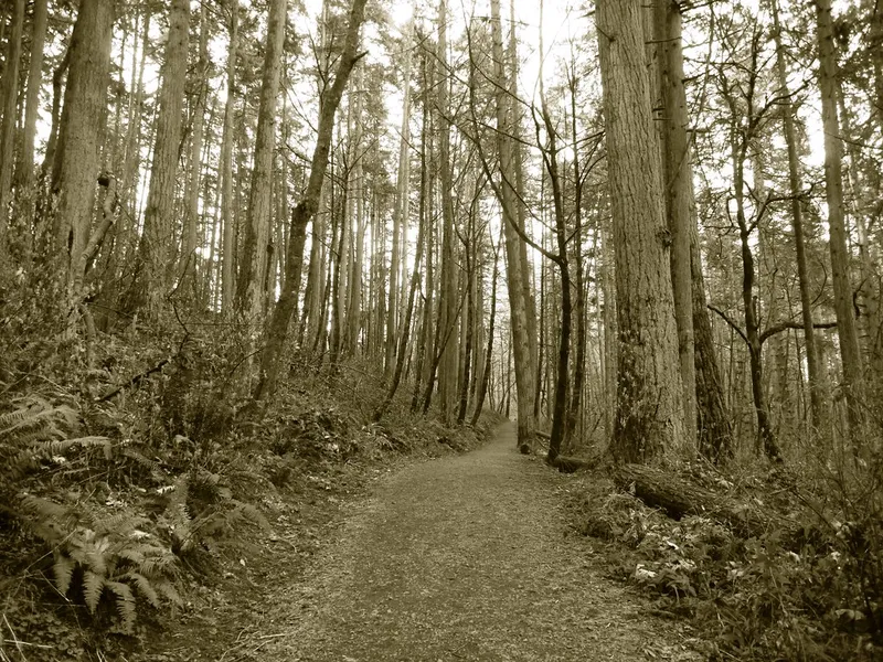 Hendricks Park