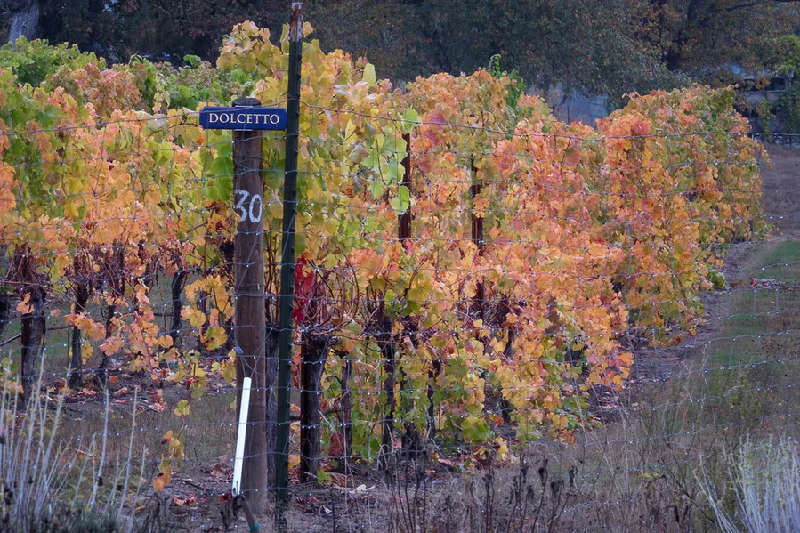 Henry Estate Winery
