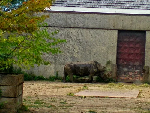 Henry Vilas Zoo
