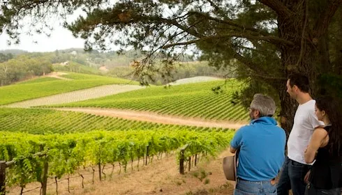 Henschke Cellars